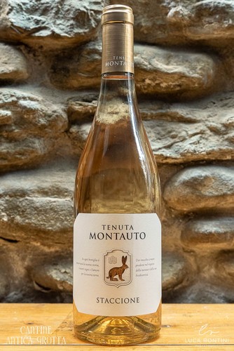 Staccione 2023 sangiovese - 2023,