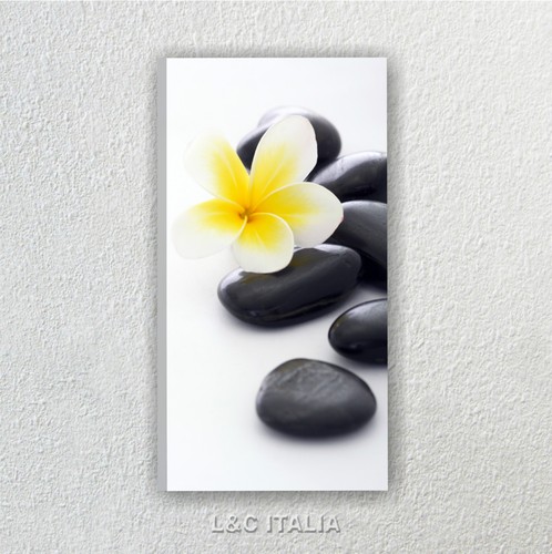 Spa stone fiore - , moderno