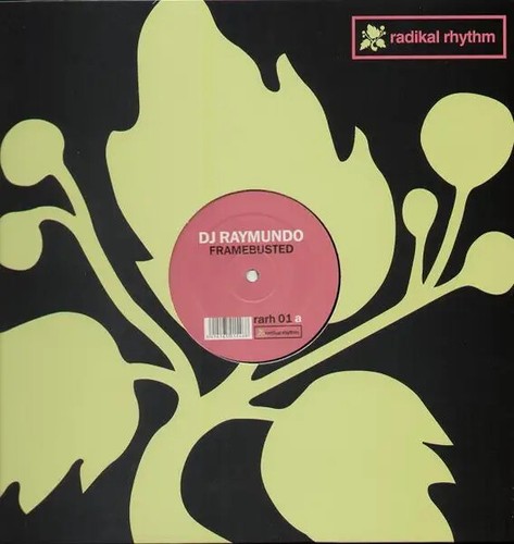 Raymundo framebusted vinile - dj,