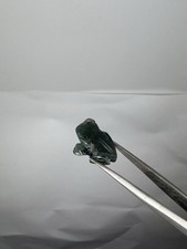 RADICE SMERALDO  RANA (CRA