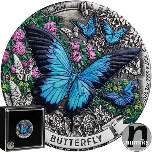 Farfalla butterfly 2026 - farfalla,