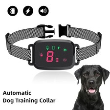 Collare antiabbaio cane - collare,