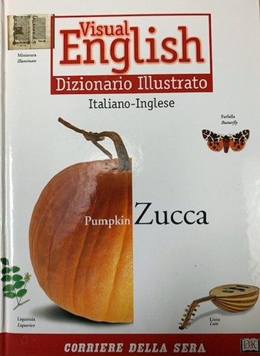 Visual english dizionario - visual,