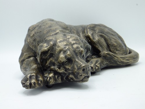 Staffordshire bull terrier pet - staffordshire,