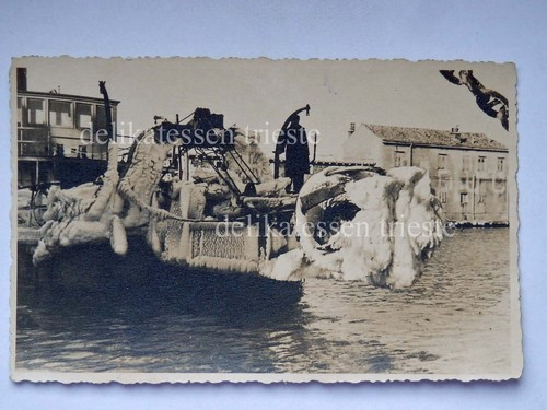 Trieste 1939 gelata ghiaccio - 1939,
