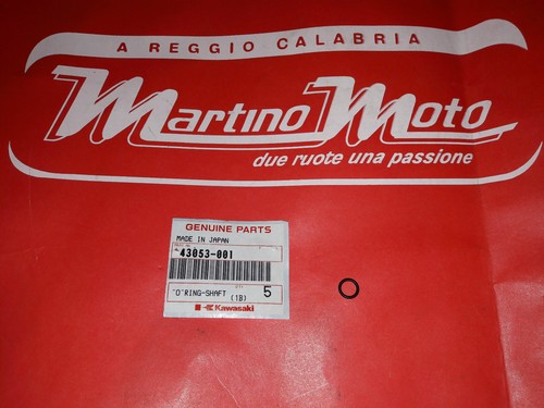 Ring shaft kawasaki - ring, h2
