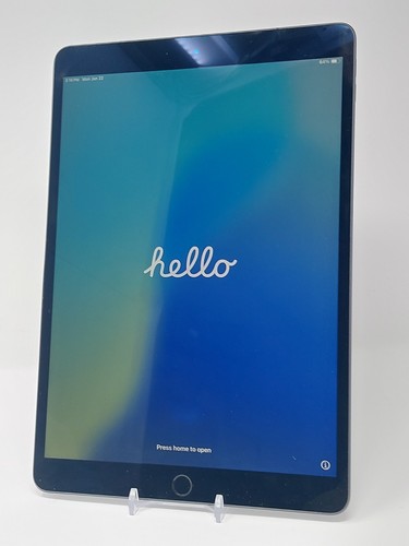 Apple ipad air - apple,