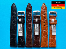 Brasile Cinturino IN