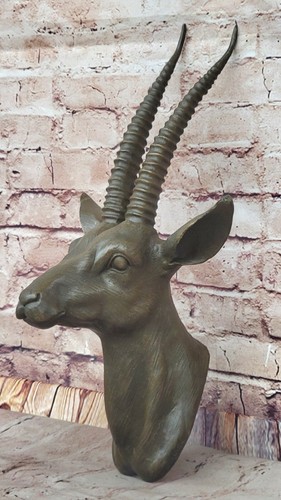 Testa antilope grande vera - testa, di