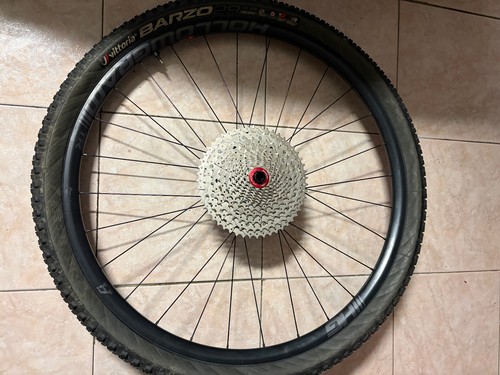 Ruota posteriore mtb - ruota,