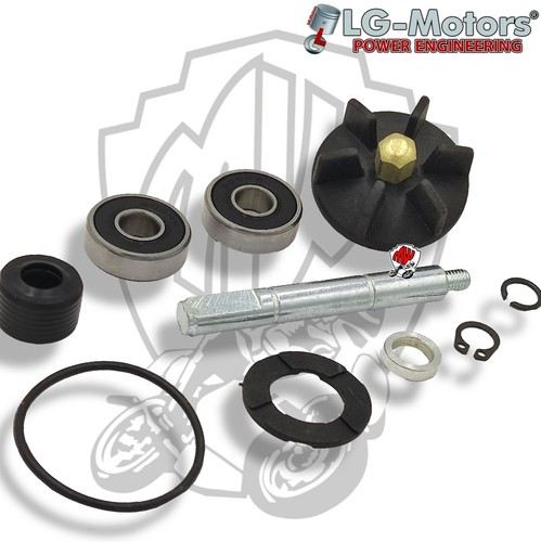 Kit revisione pompa acqua - revisione,