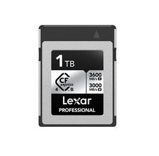 Scheda Lexar Professional