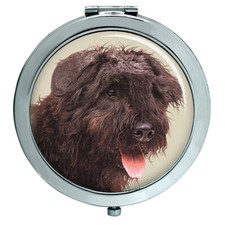 Bovaro Delle Fiandre Specchio