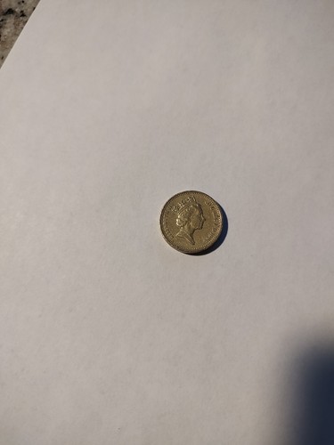 Moneta una sterlina - moneta,