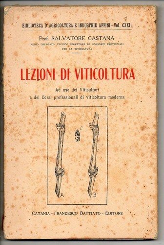 Castana lezioni di - castana,