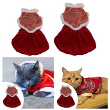 Costume da gatto per