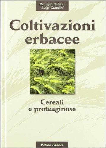 Libro remigio baldoni - libro, /