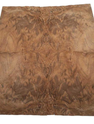 Furnier radica noce - in,