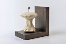 Fermalibri Torsolo con