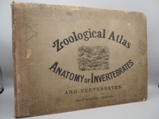 Zoological atlas anatomy - zoological,