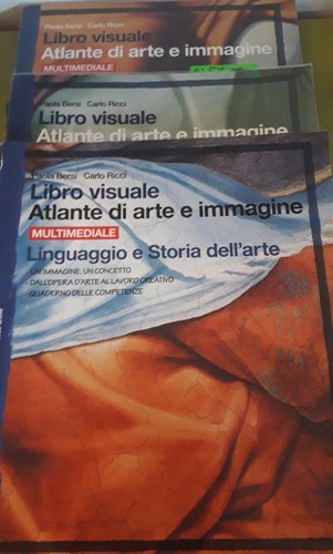 9788808701121 libro visuale - libro,