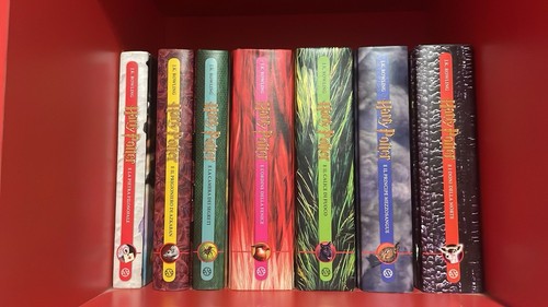 Harry potter libri saga - harry,