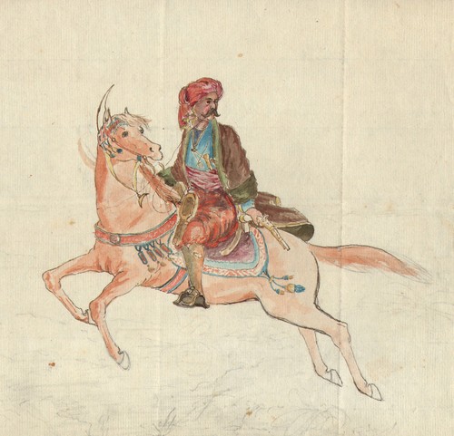 Arabo cavallo disegno a - arabo,