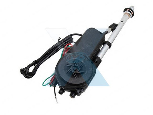 Antenna auto universale - auto,