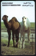 12 schede telefoniche diverse