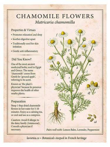 Poster botanico fiori - poster,
