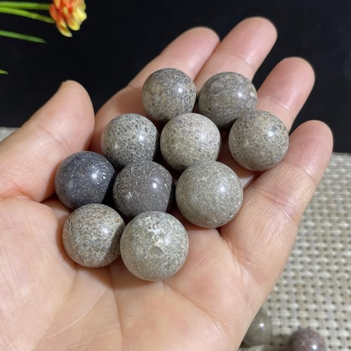 10pz 66g esemplare - , di
