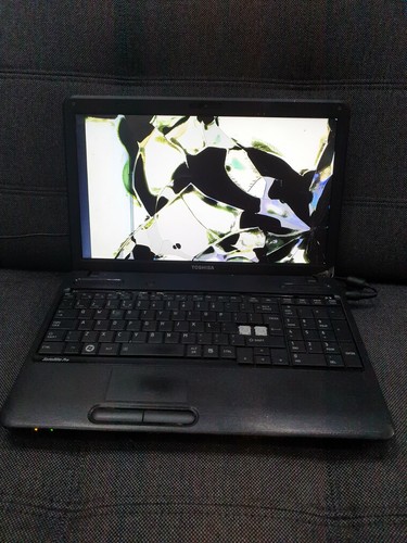 G889 toshiba c650 laptop - toshiba, dual