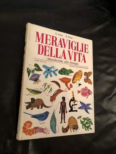 Meraviglie della vita - meraviglie,