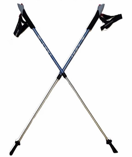Leki istruttore nordic - istruttore, di