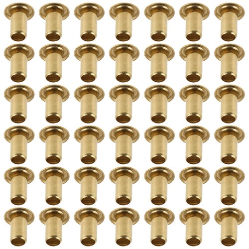 100 pezzi arpa - rivetti, lira