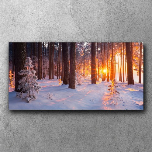 Quadri tela canvas - su, quadro