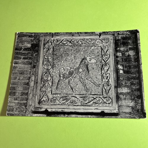 Ravenna antico pavimento - antico,