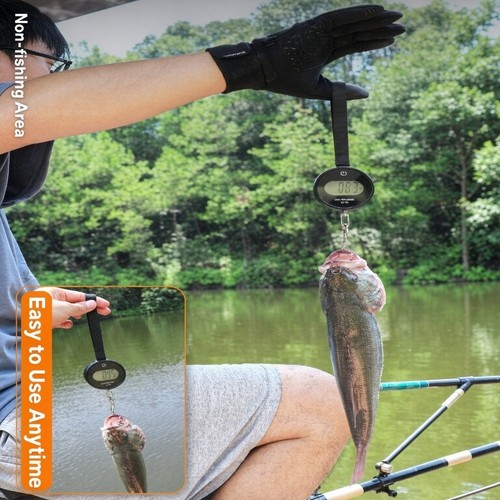 Bilancia pesca elettronica - da,