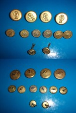 POLIZIA completo bottoni