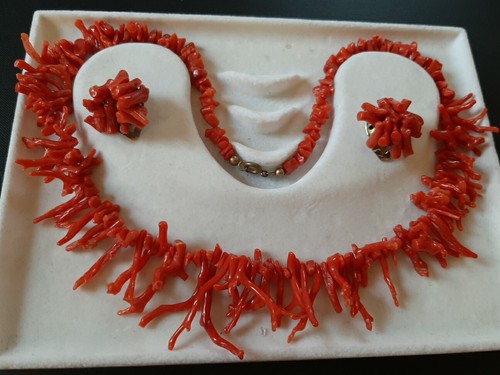 Corallo naturale rosso - corallo,
