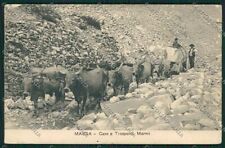 Massa Cave Marmo cartolina QQ2985