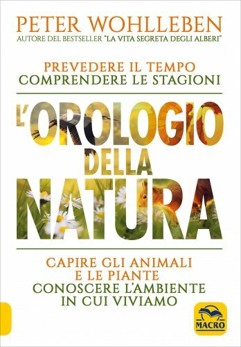 Libro orologio della - l'orologio,