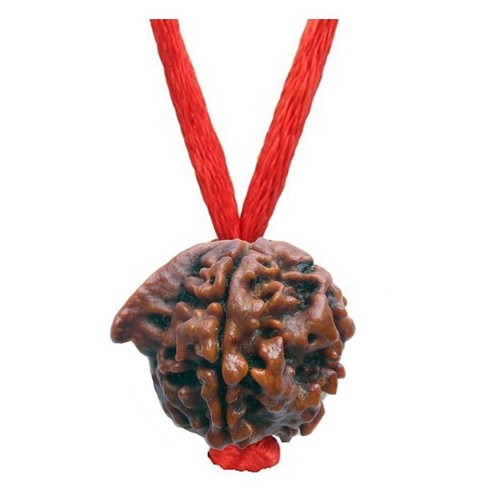 Ganesh rudraksha ciondolo - ganesh,