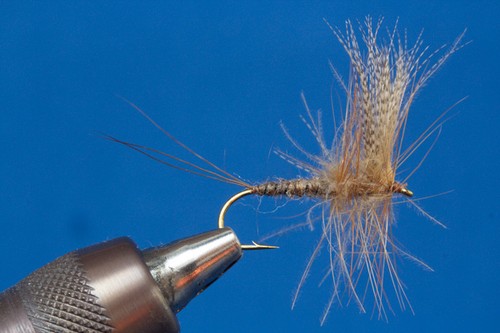 Fliegentom mosca secca 3 - secca,