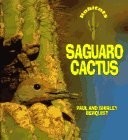 Saguaro cactus - saguaro,