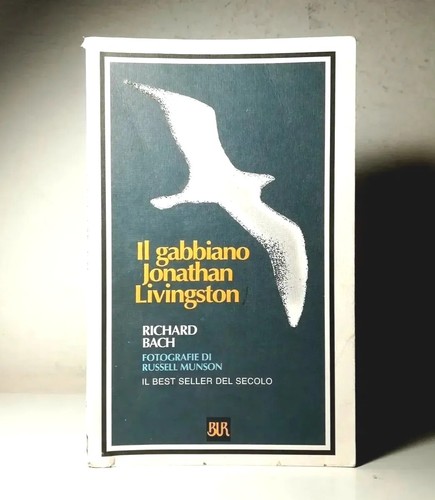 Gabbiano jonathan - il,