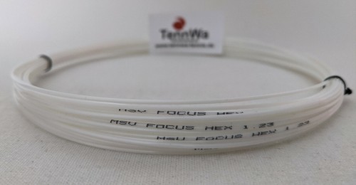 Msv focus - €/lfd.m),