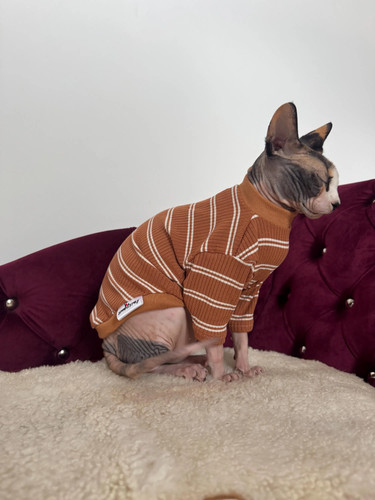 Maglione morbido cotone - in,