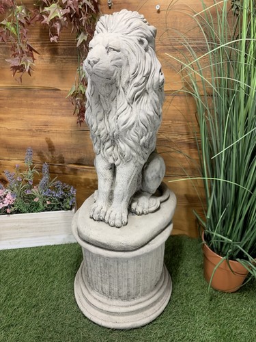 Statua leone giardino in - giardino,