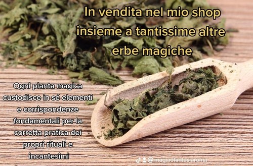 Erbe essiccate naturali per